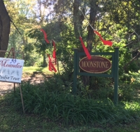 Moonstone Red Ribbons Meander 2016