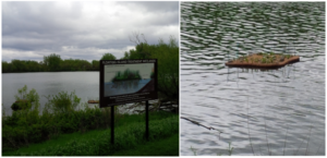 https://nonprofitlocator.org/organizations/mn/worthington/113785141-lake-okabena-improvement-association Lake Okabena Clean Water Project