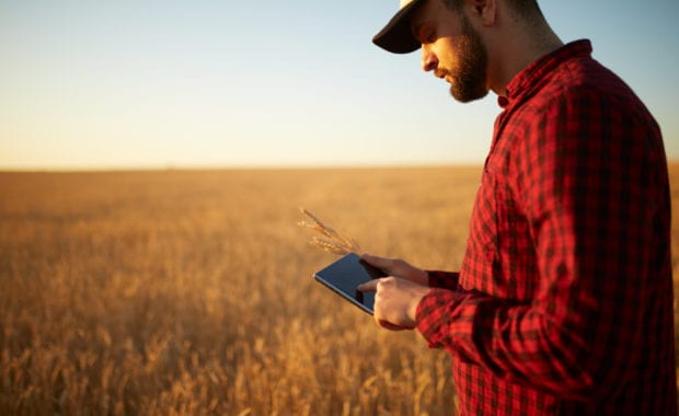 Man in a field with an ipad
